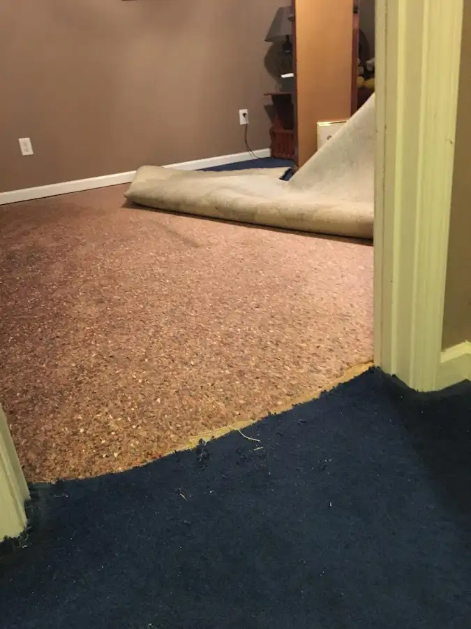 Carpet pad removal revealing water damage during Drying & Dehumidification in North Mankato